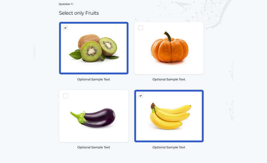 Best Quizzes for WordPress